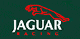  Jaguar,